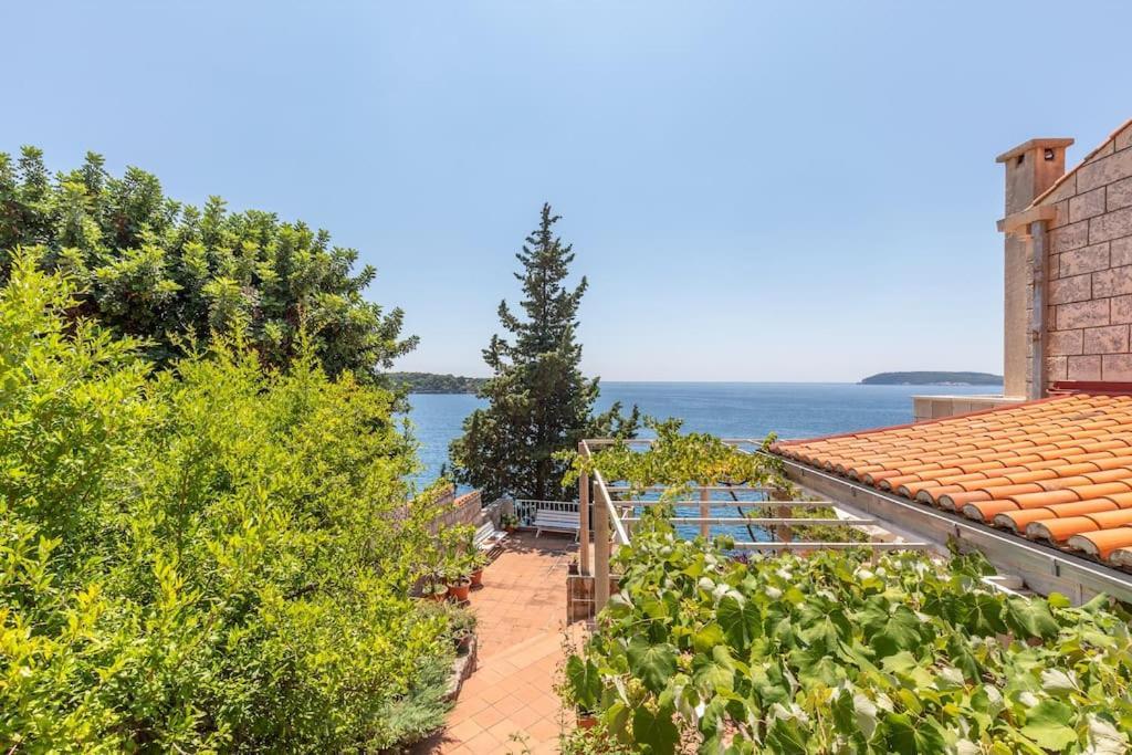 Vila Jana Villa Dubrovnik Bagian luar foto