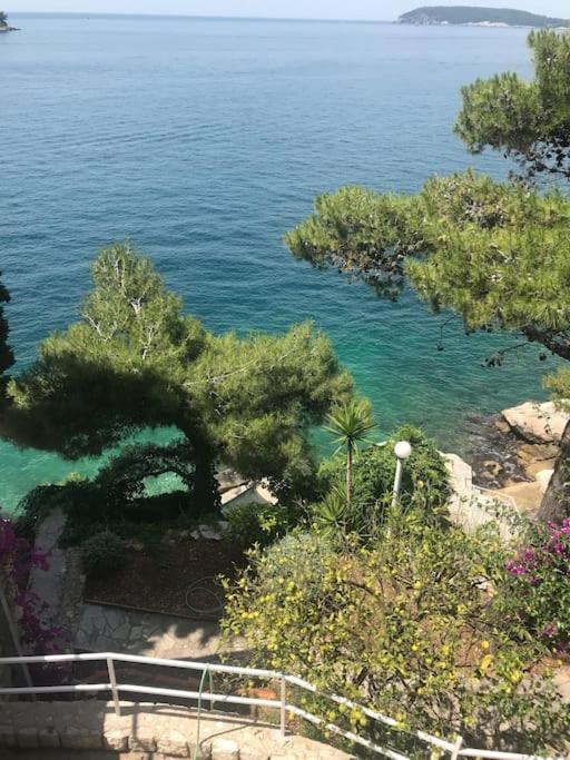 Vila Jana Villa Dubrovnik Bagian luar foto